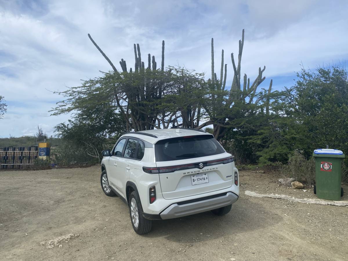 Foto door Jeroen B. (14-11-2025)