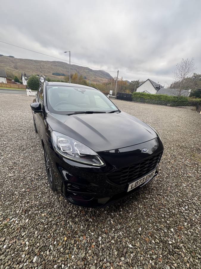 Photo by Andrew S. (10/22/25)