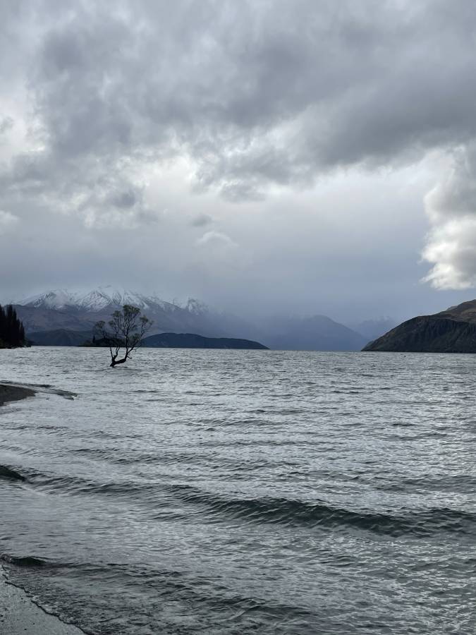 Photo 1 by James L. (10/5/25)