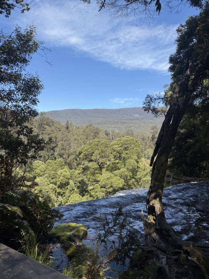 Photo 1 by George P. (12/29/25)