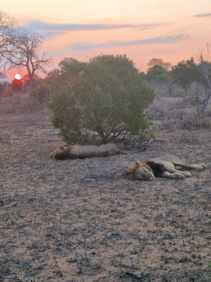 Photo 1 by David S. about hiring a Haval Jolion in Johannesburg (19/11/2025)