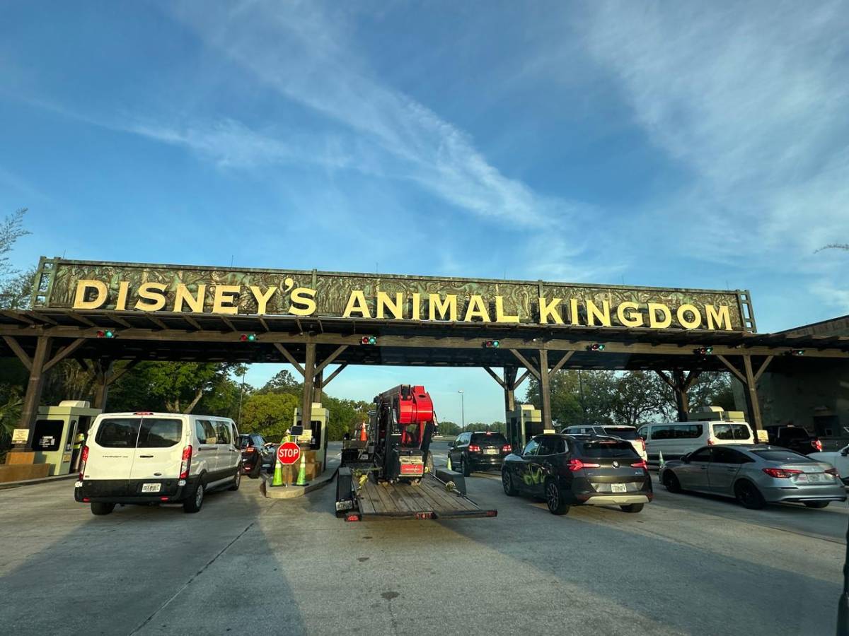 Foto 1 de Jhon Fredy Castano S. (7/4/2026)