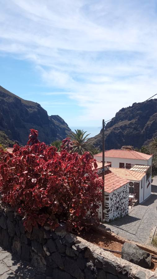 Photo 1 by Joaquim M. about hiring a Toyota Aygo in Tenerife (10/04/2024)