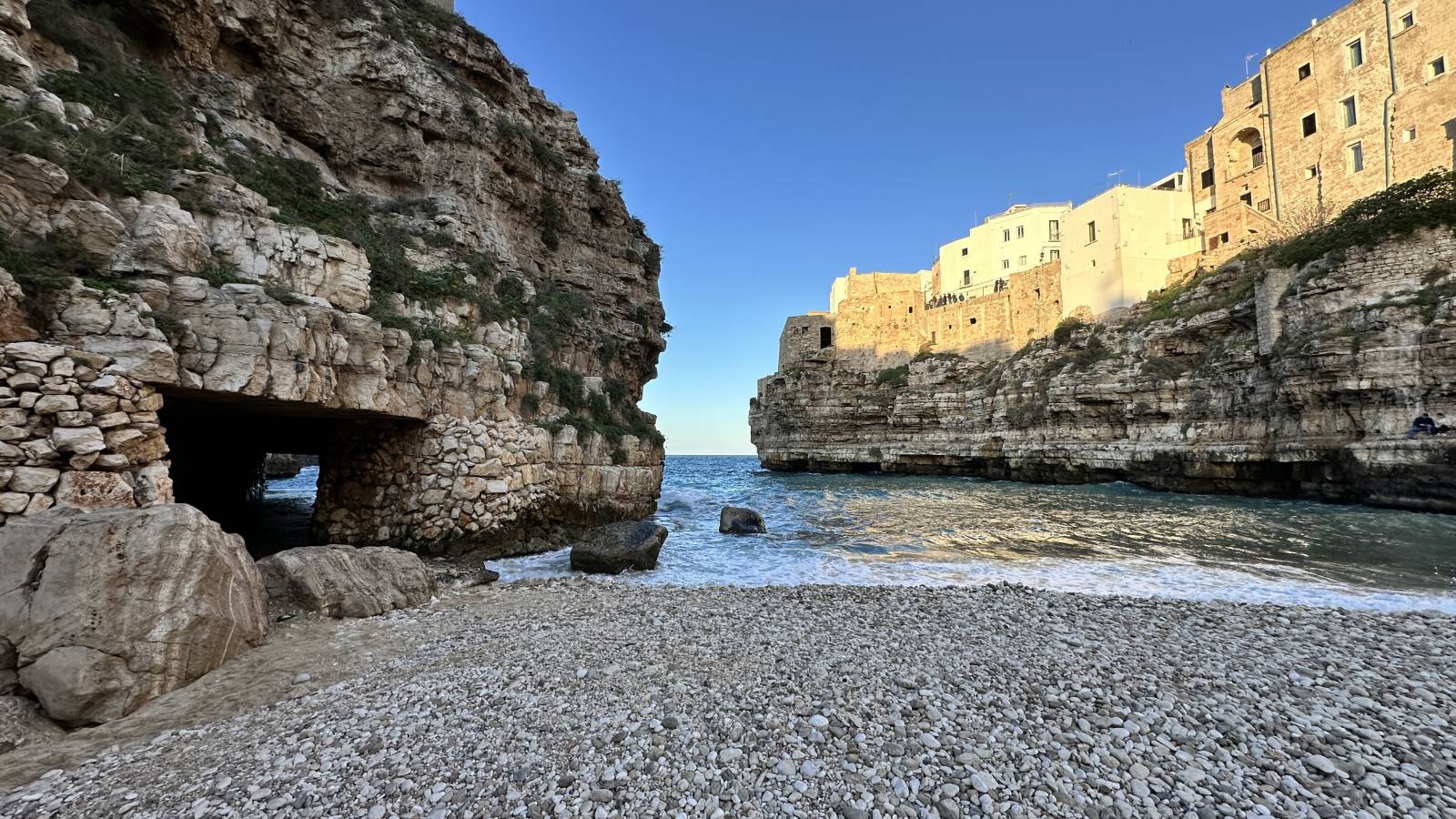 Photo 1 by Steve V. (1/5/26)