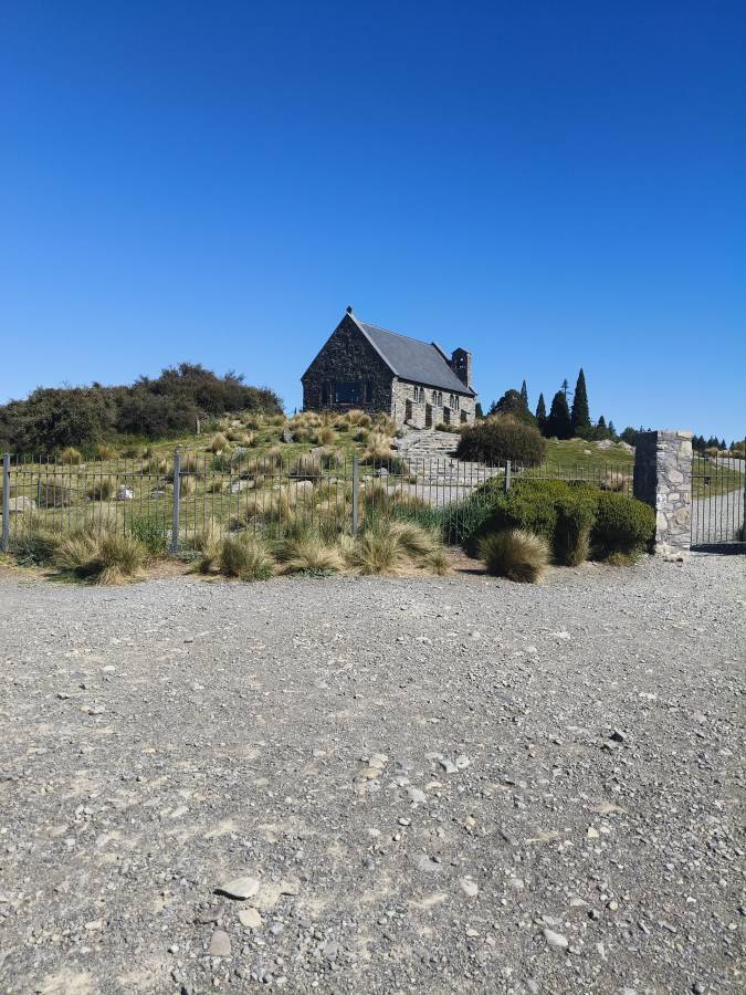 Photo 1 by Natasha G. (11/25/25)