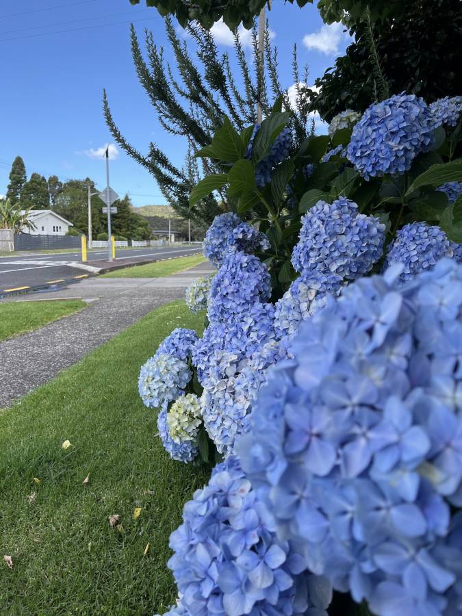 (2025/01/19)のレンタルについて、Kuremi T. による写真 2