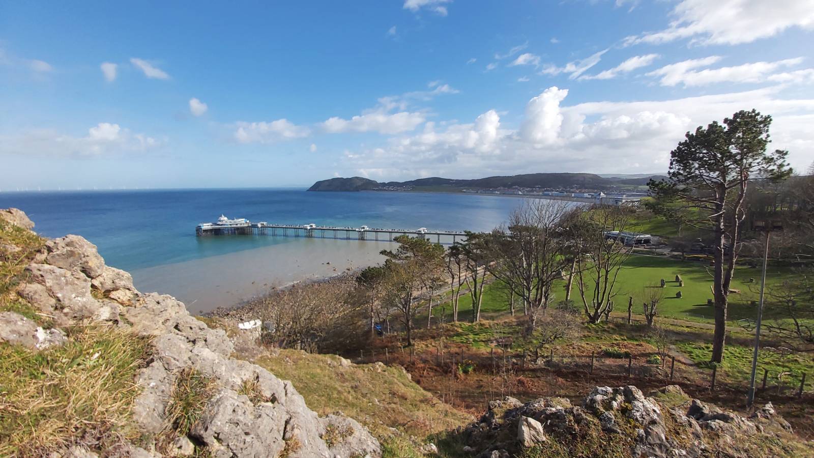 Photo 2 by Martin W. (3/25/26)