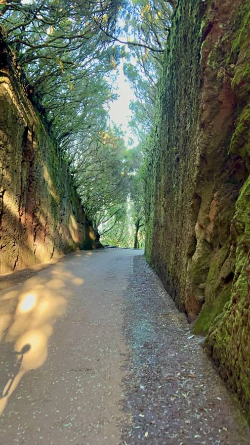 Photo 1 by Rasa C. (12/13/25)