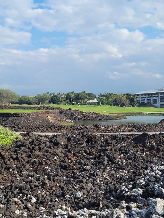 Photo 1 by Yvonne M. (2/27/26)