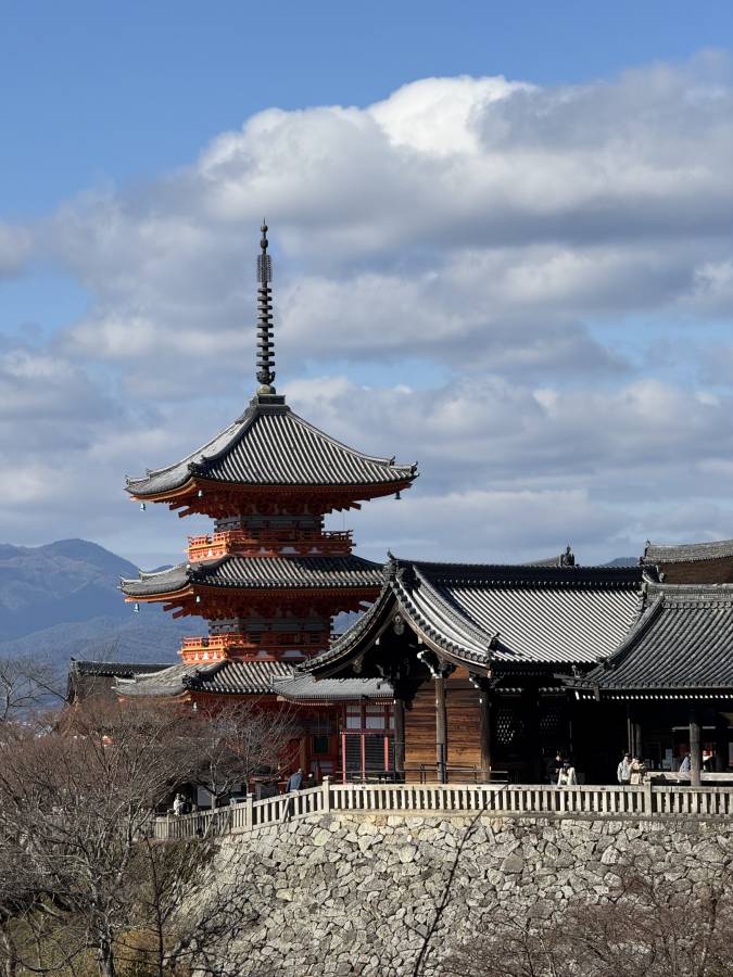 Photo 1 by Jhonathan G. (1/21/26)