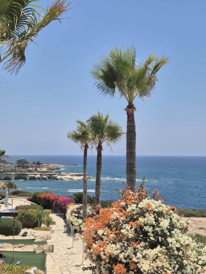 Photo 2 by Rimvydas A. about renting a Skoda Fabia in Cyprus (7/13/25)