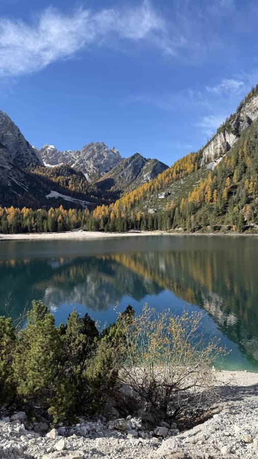 Фото 1 от Maxim C. об аренде Jeep Compass в Милане (01.11.2025)