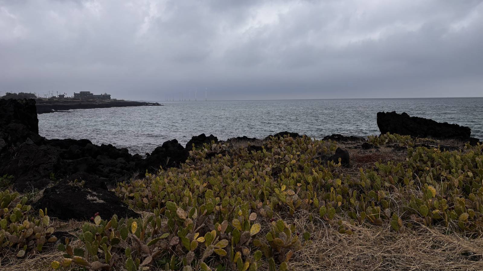 Photo 3 by Mohan S. (4/14/26)