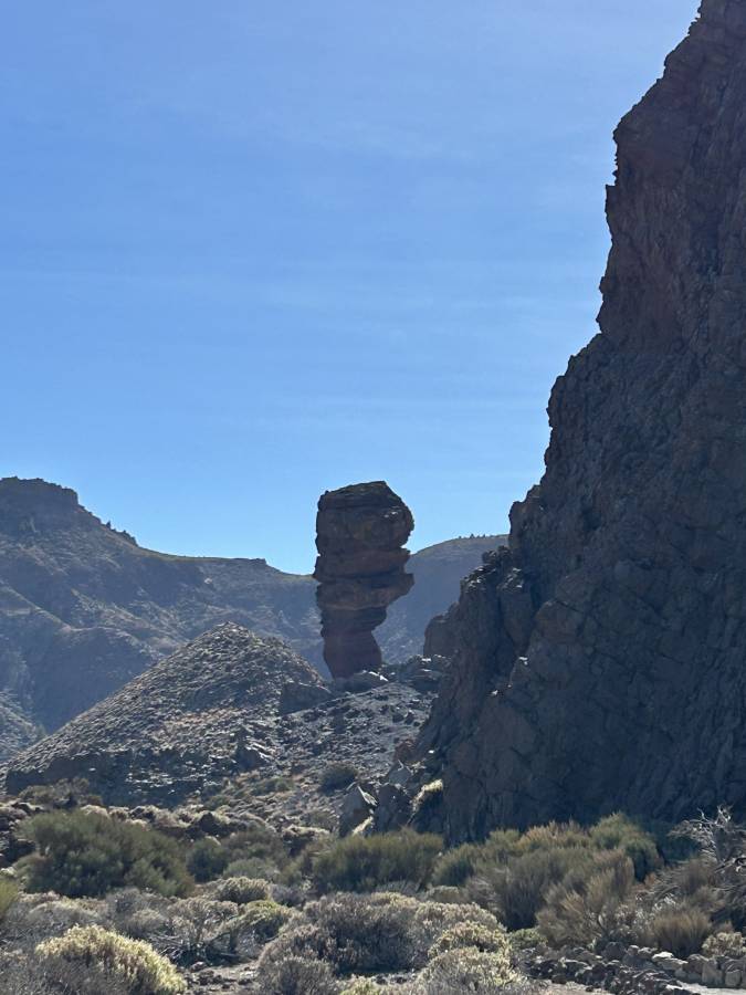 Photo 2 by Rasa C. (12/13/25)