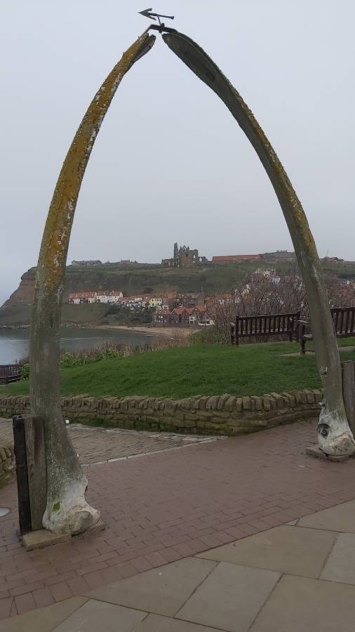 Photo 3 by Martin W. (3/25/26)