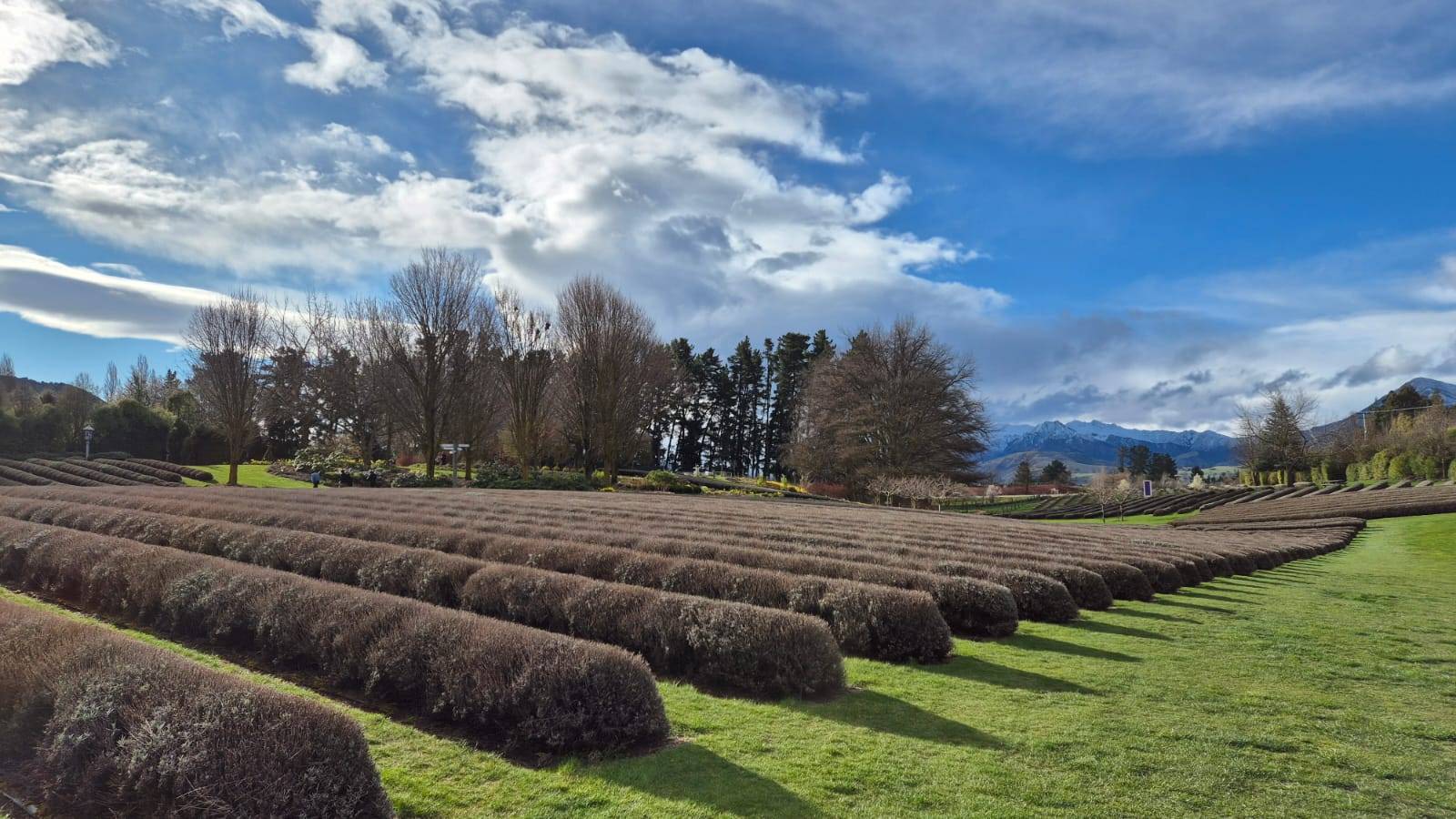 Photo 3 by Wee Long P. (10/7/25)