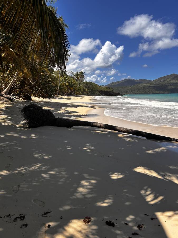 Foto 1 di Mirella M. (15/03/26)