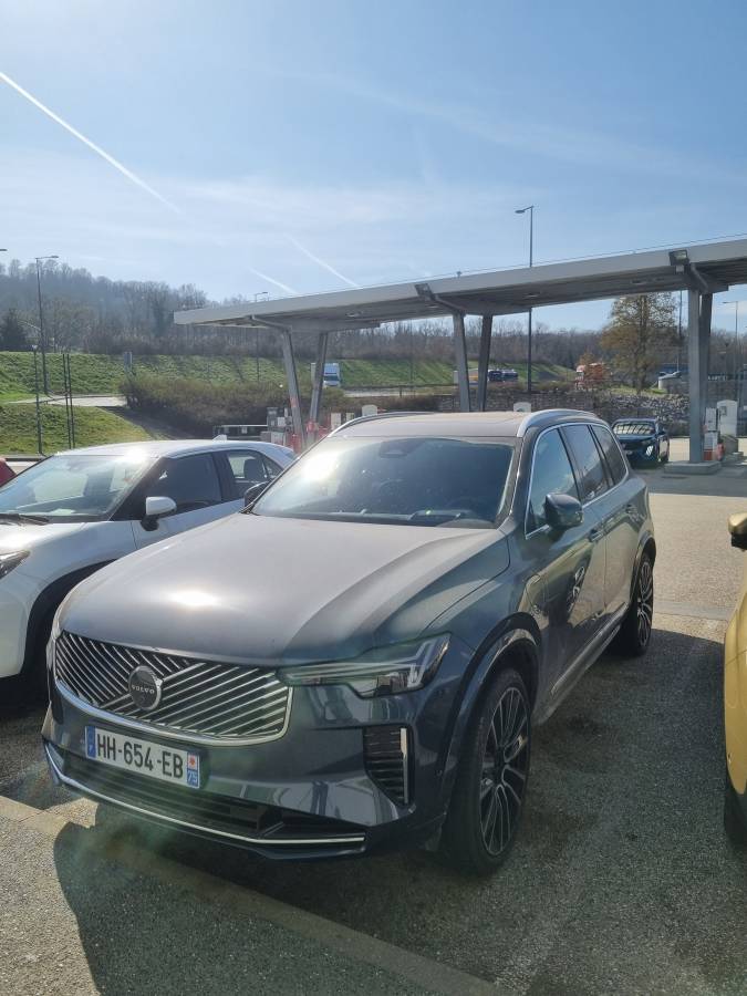 Photo by Tal L. (3/13/26)