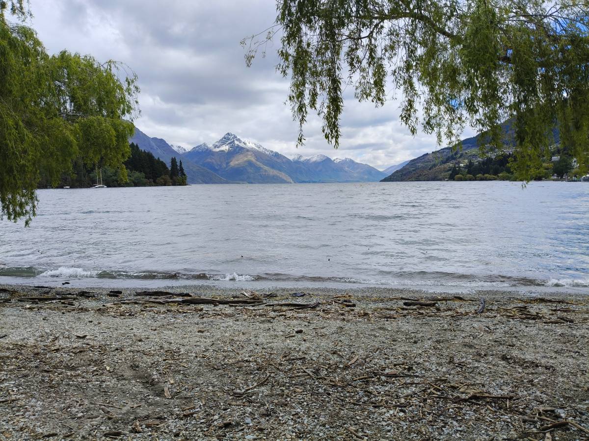 Photo 2 by Natasha G. (11/25/25)