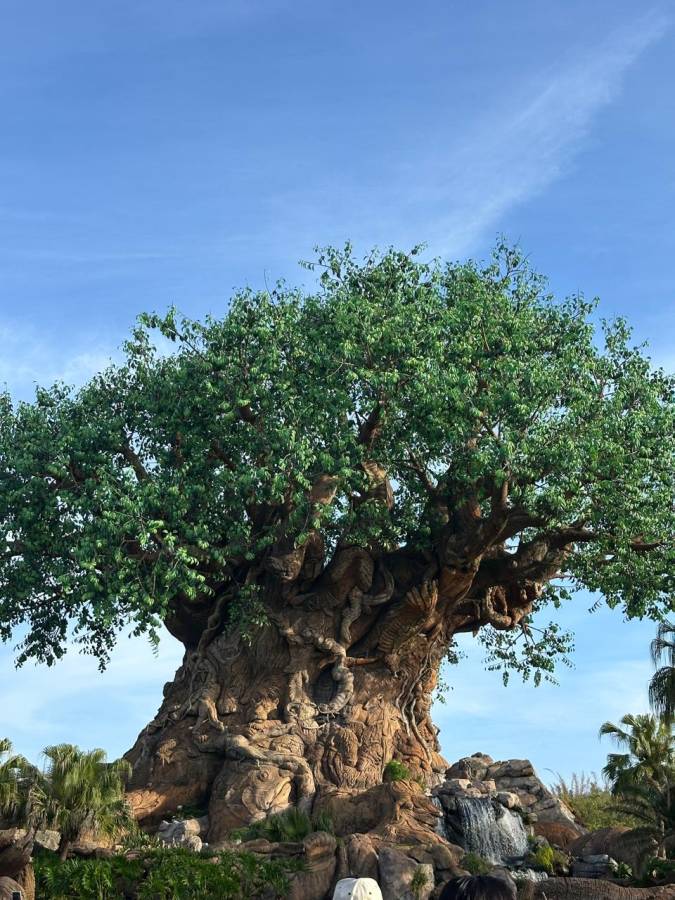 Foto 3 de Jhon Fredy Castano S. (7/4/2026)