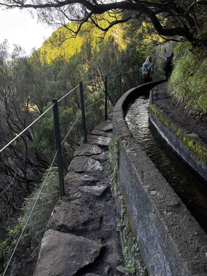 Photo 2 by Gyorgy M. (11/22/25)