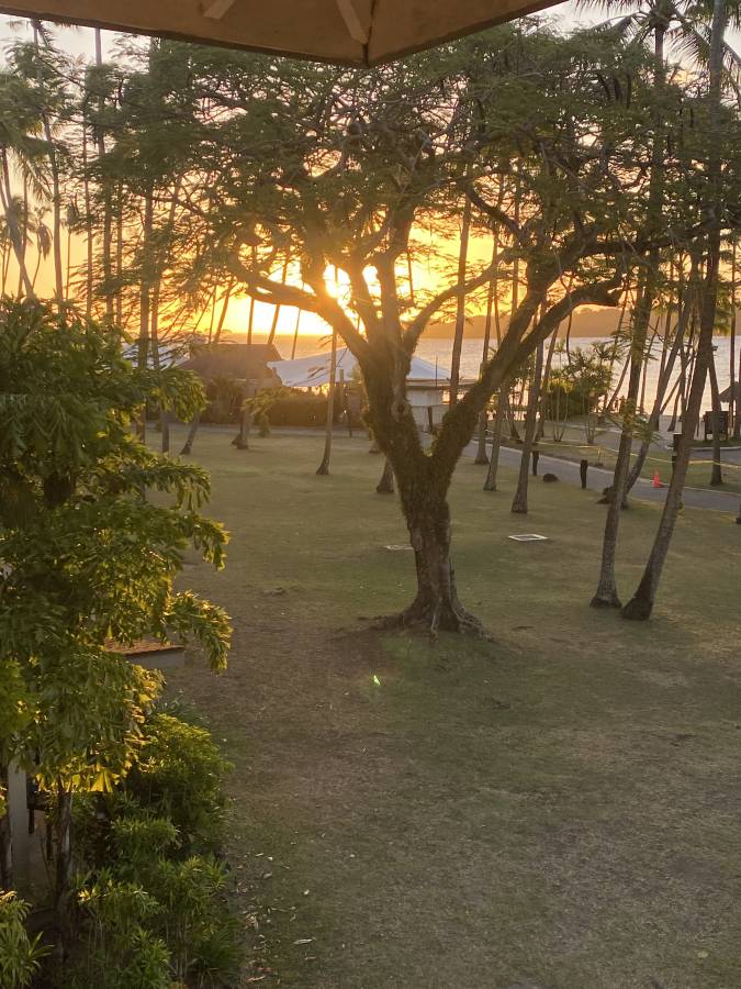 Photo 2 by Kiri L. (9/27/25)