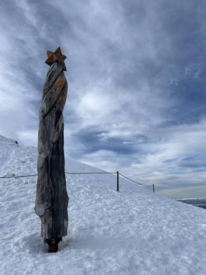 Photo 3 by Vi D. about renting a Toyota RAV4 (2020-2022) in Queenstown (7/31/25)