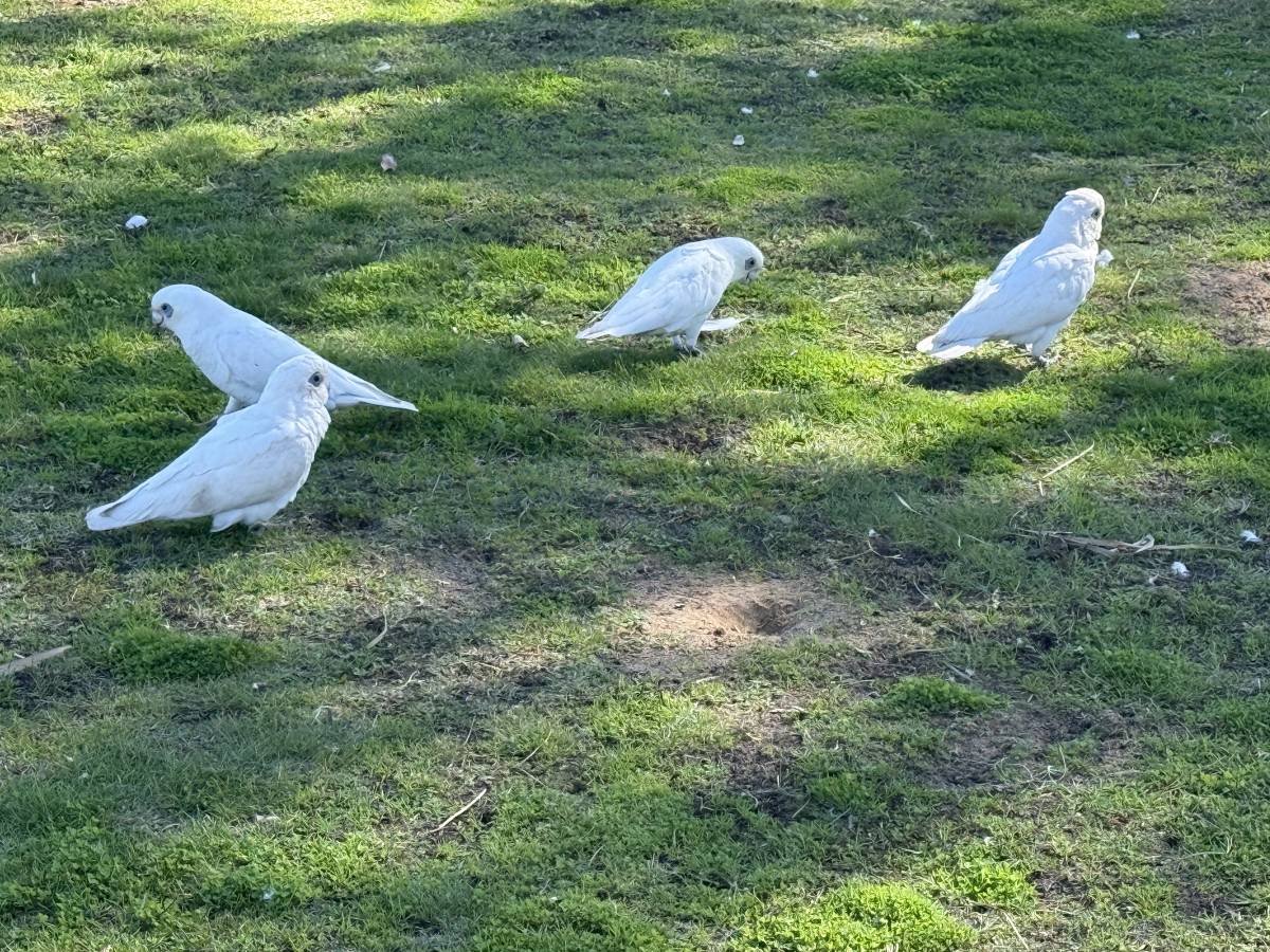 Photo 1 by Michael B. (5/9/26)
