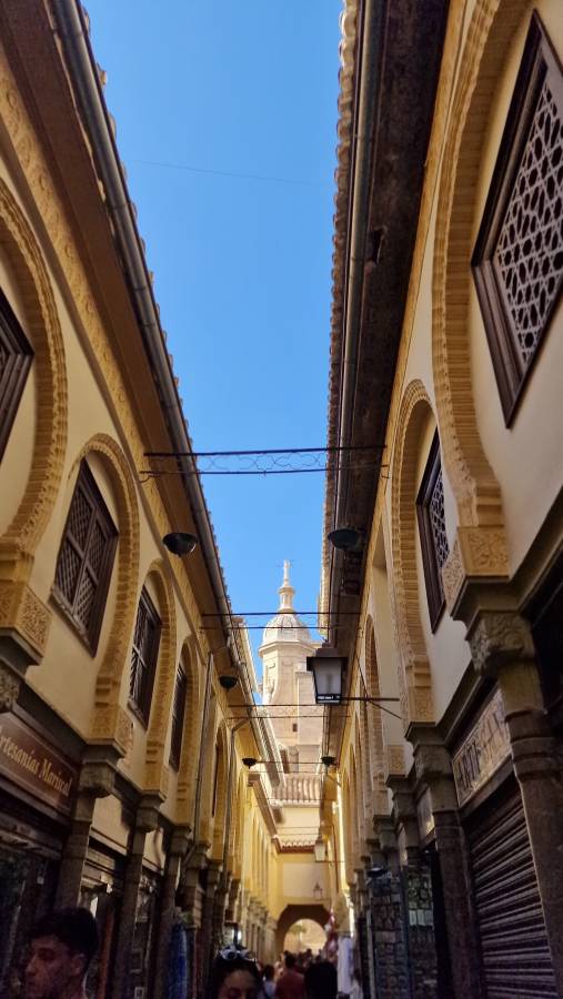 Foto 1 de steven john tica de c. (19/10/2023)