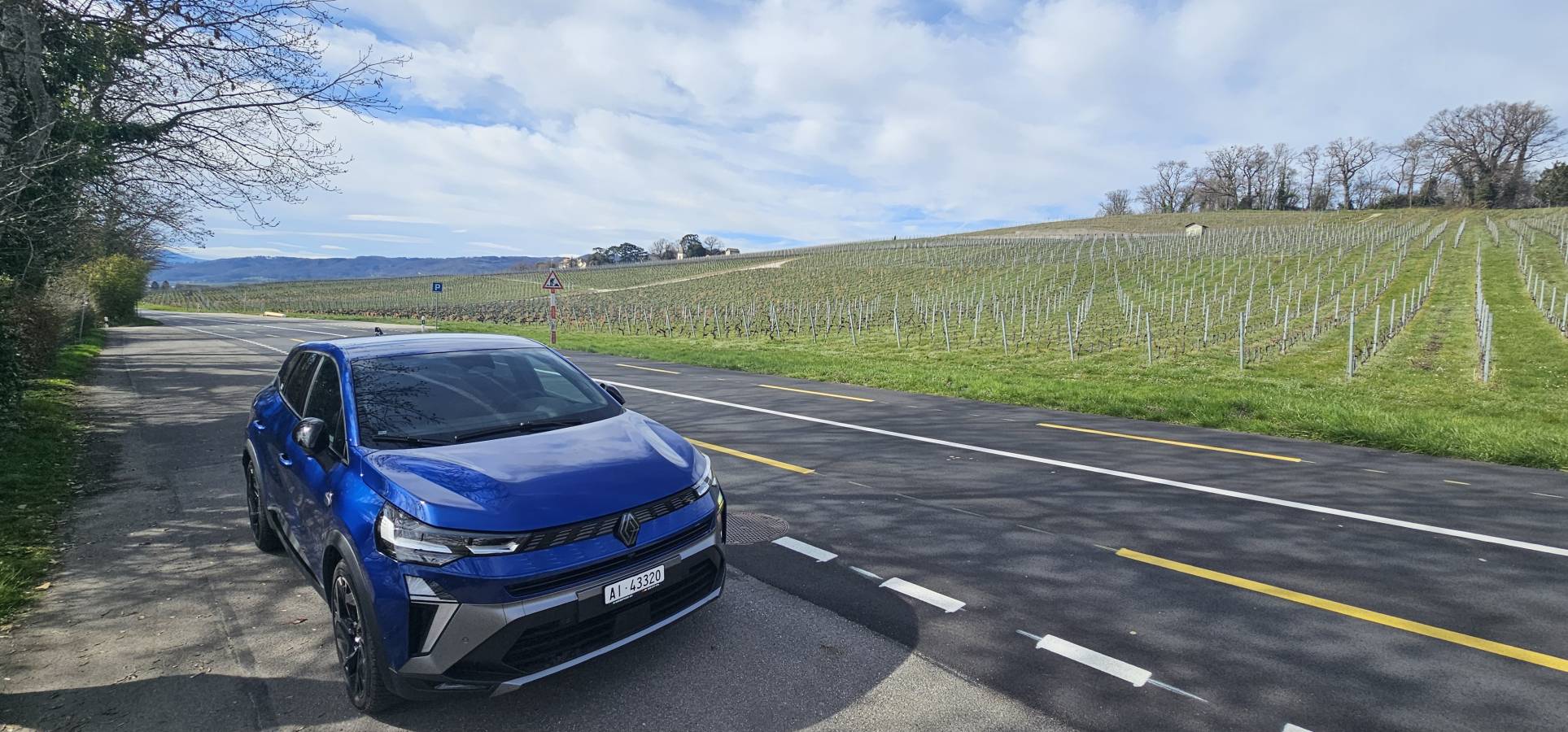 Photo by Mark A. (3/17/26)