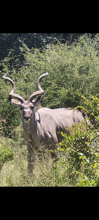 Photo 1 by Neil C. about hiring a Toyota Fortuner in Johannesburg (29/01/2024)