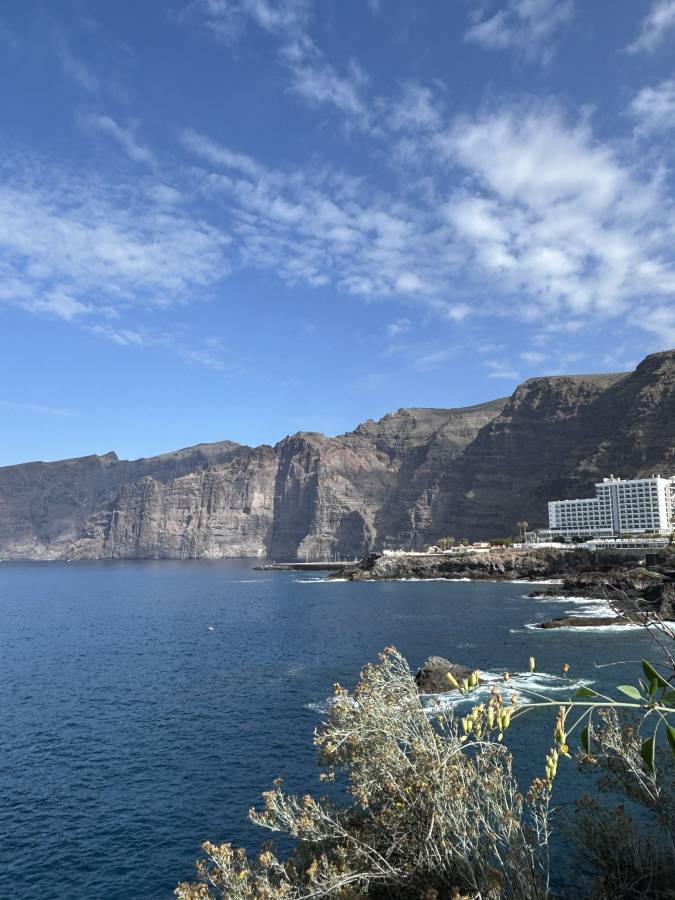 Photo 3 by Rasa C. (12/13/25)