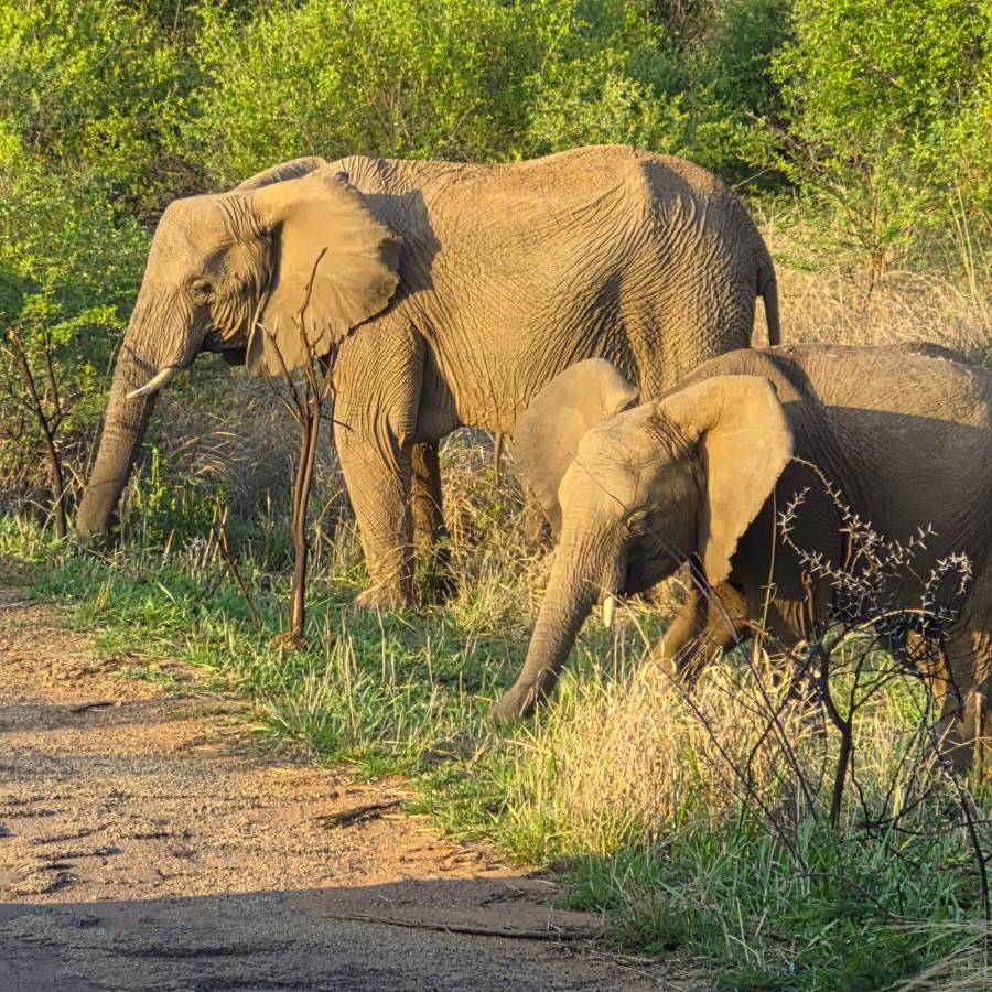 Photo 1 by Bryan J. (11/24/25)