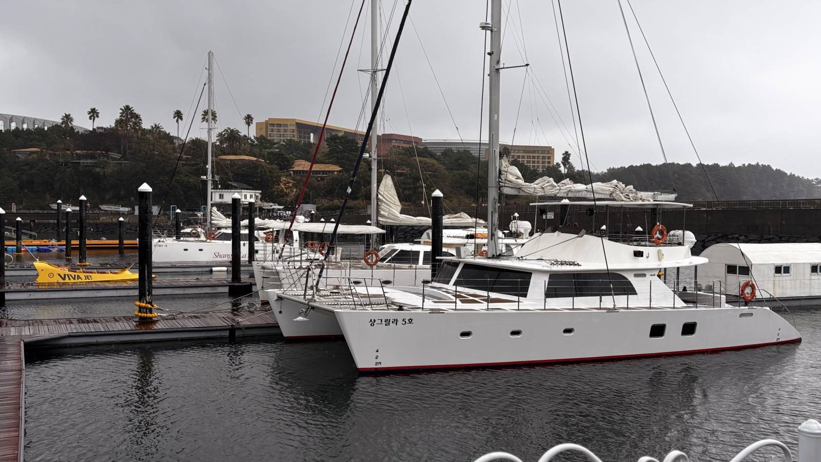 Photo 5 by Mohan S. (4/14/26)