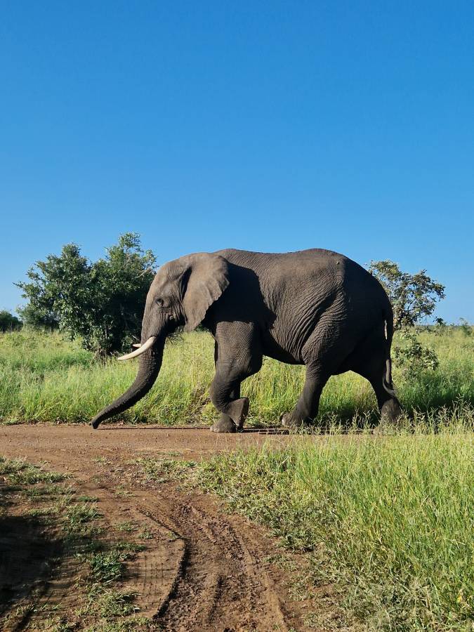 Photo 2 by Neil C. about hiring a Toyota Fortuner in Johannesburg (29/01/2024)