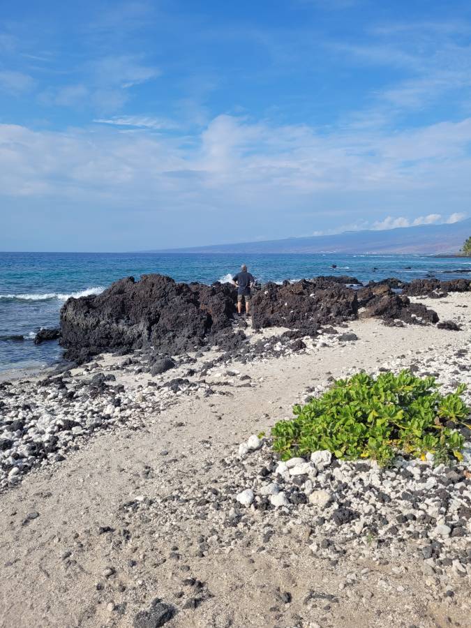 Photo 2 by Yvonne M. (2/27/26)