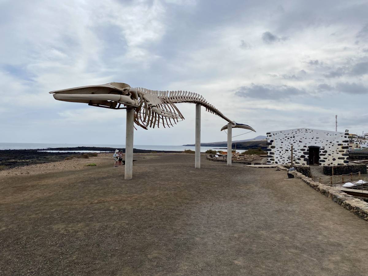 Photo 2 by STEPHEN V. (10/19/25)