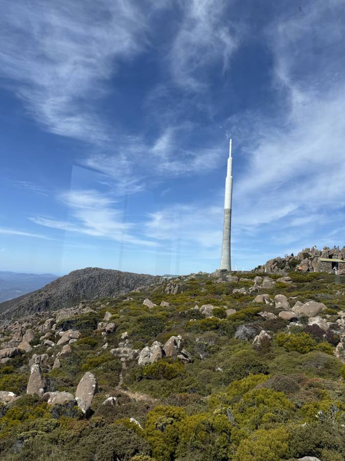 Photo 2 by George P. (12/29/25)