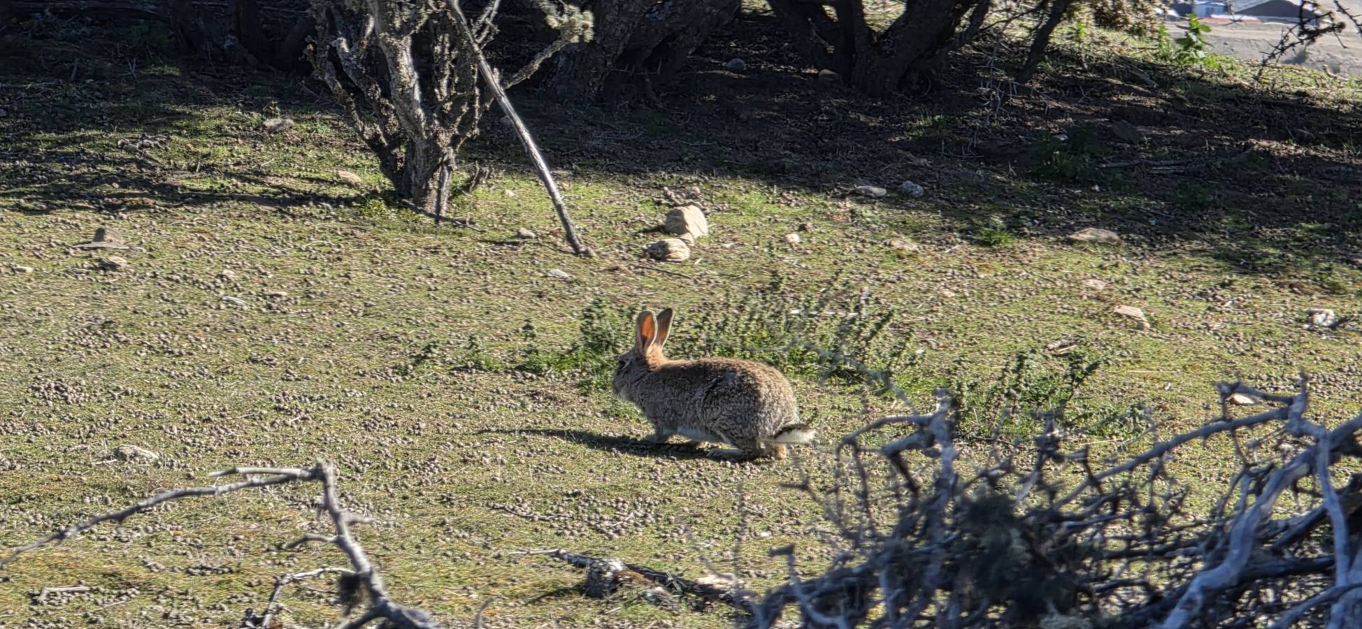 Photo 1 by Soun W. (10/6/25)