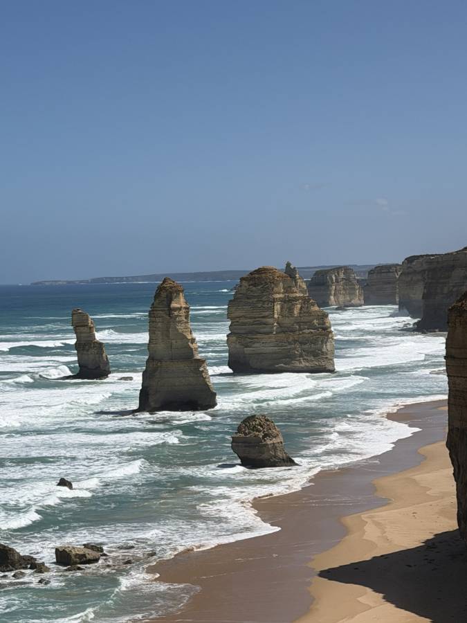 Photo 1 by SUSAN L. (2/25/26)