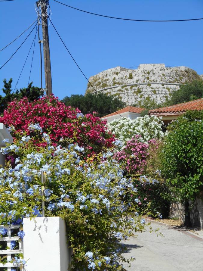 Foto 4 di giuseppe p. sul noleggio di una Fiat Panda a Cefalonia (01/07/25)