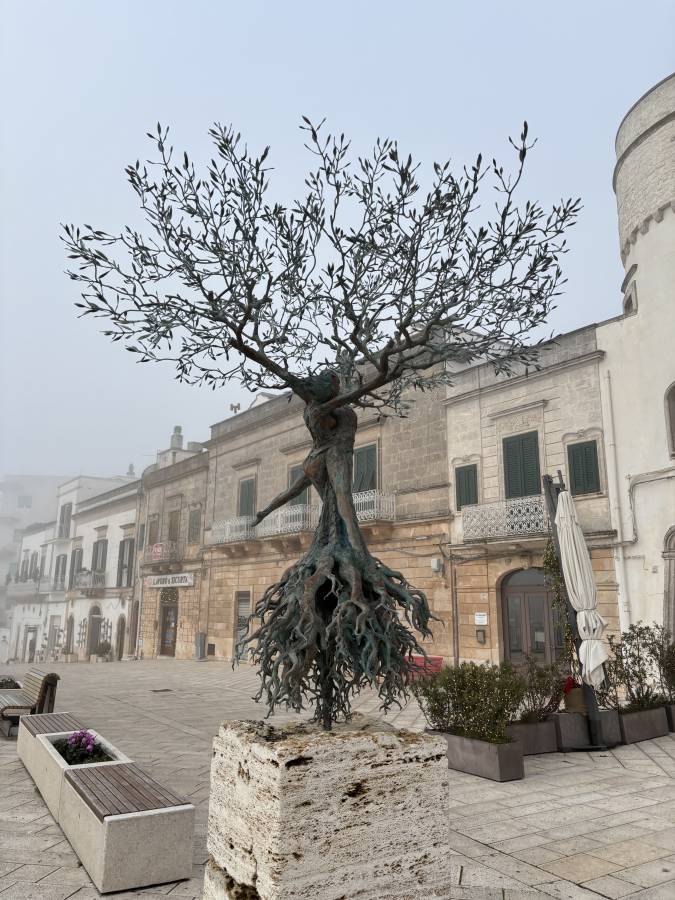 Zdjęcie 2 wykonane przez Rafal G. (21.12.2025)