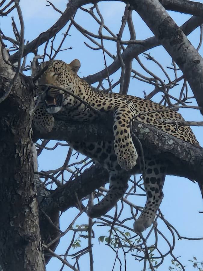 Photo 2 by David S. about hiring a Haval Jolion in Johannesburg (19/11/2025)