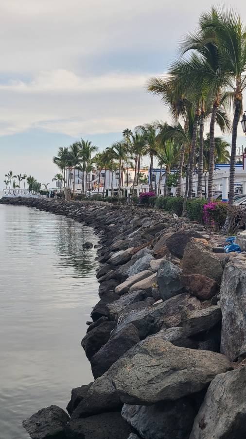 Photo 3 by Eugene R. (12/2/25)