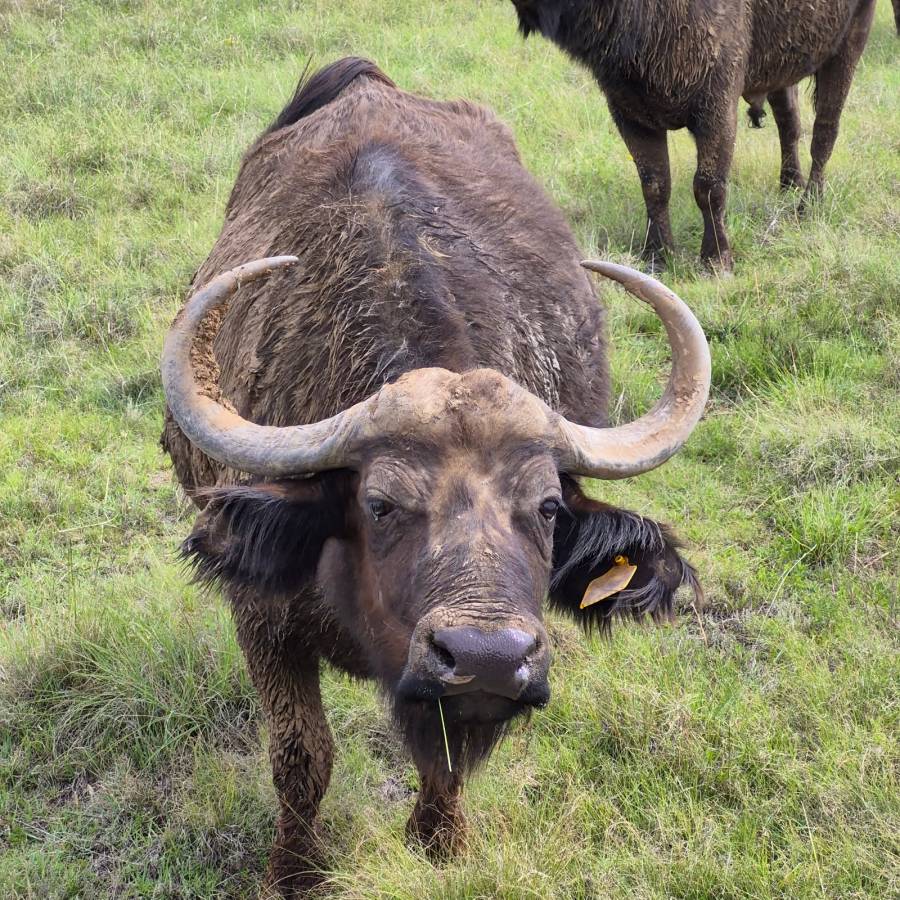 Photo 2 by Bryan J. (11/24/25)