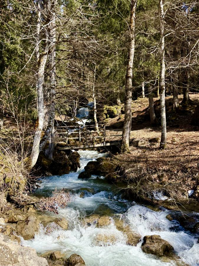 Photo 2 par Vincent B. (20/04/2026)