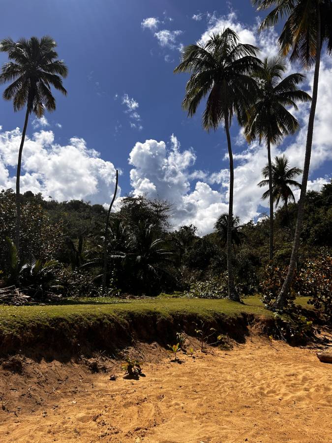 Foto 2 di Mirella M. (15/03/26)