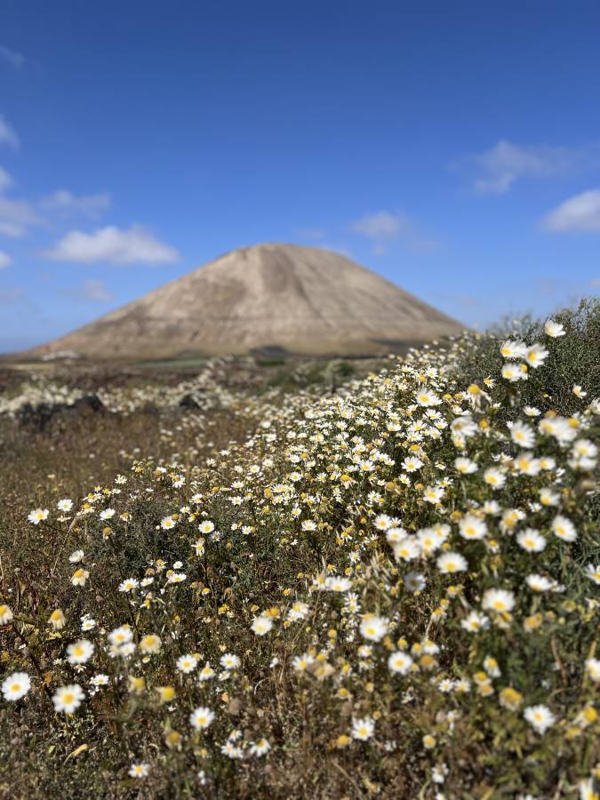 Photo 1 by Venkata V. (4/8/26)