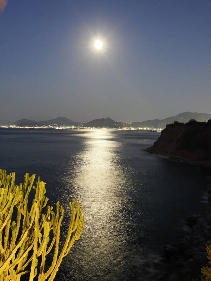 Photo 2 by Glenn M. about renting a Toyota C-HR in Palermo (7/9/25)