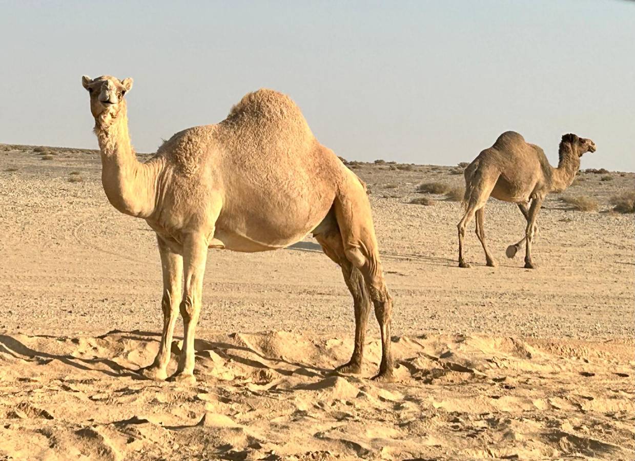 Foto 3 di marisa p. (24/11/25)